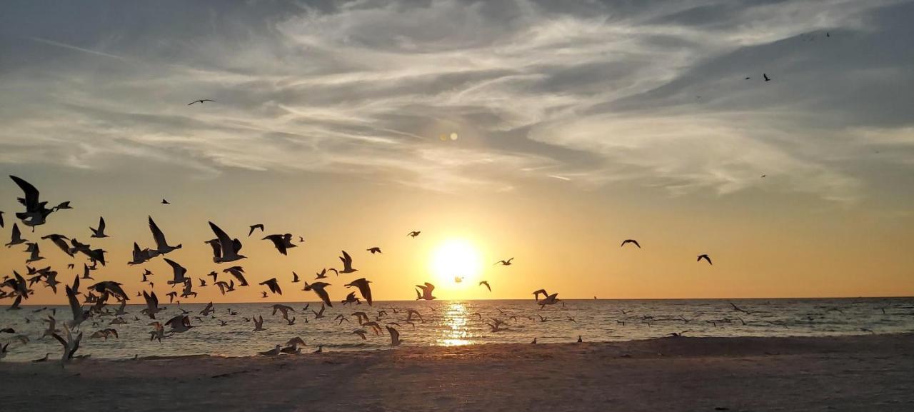Pelican Pointe 2A Clearwater Beach Eksteriør bilde